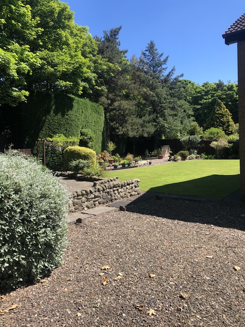 A sunny gravel and shrub garden