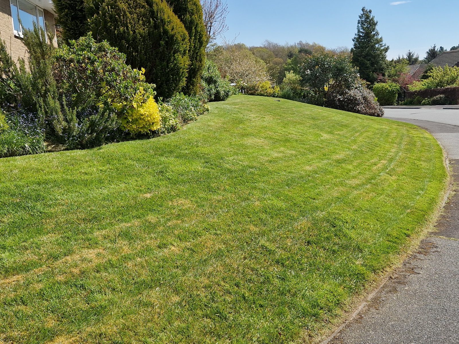 A freshly striped front lawn curving round a shrub border, cut by CGM Garden Maintenance