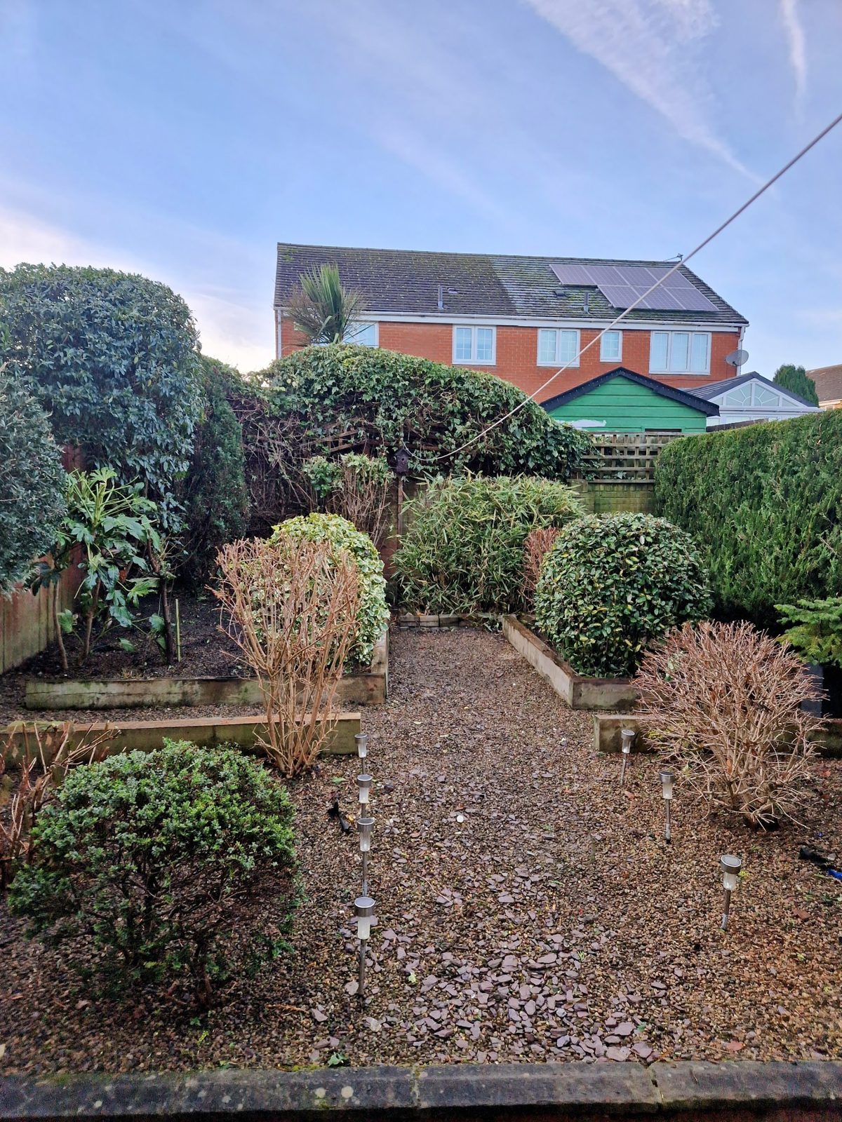 A gravel garden with neatly clipped round shrubs