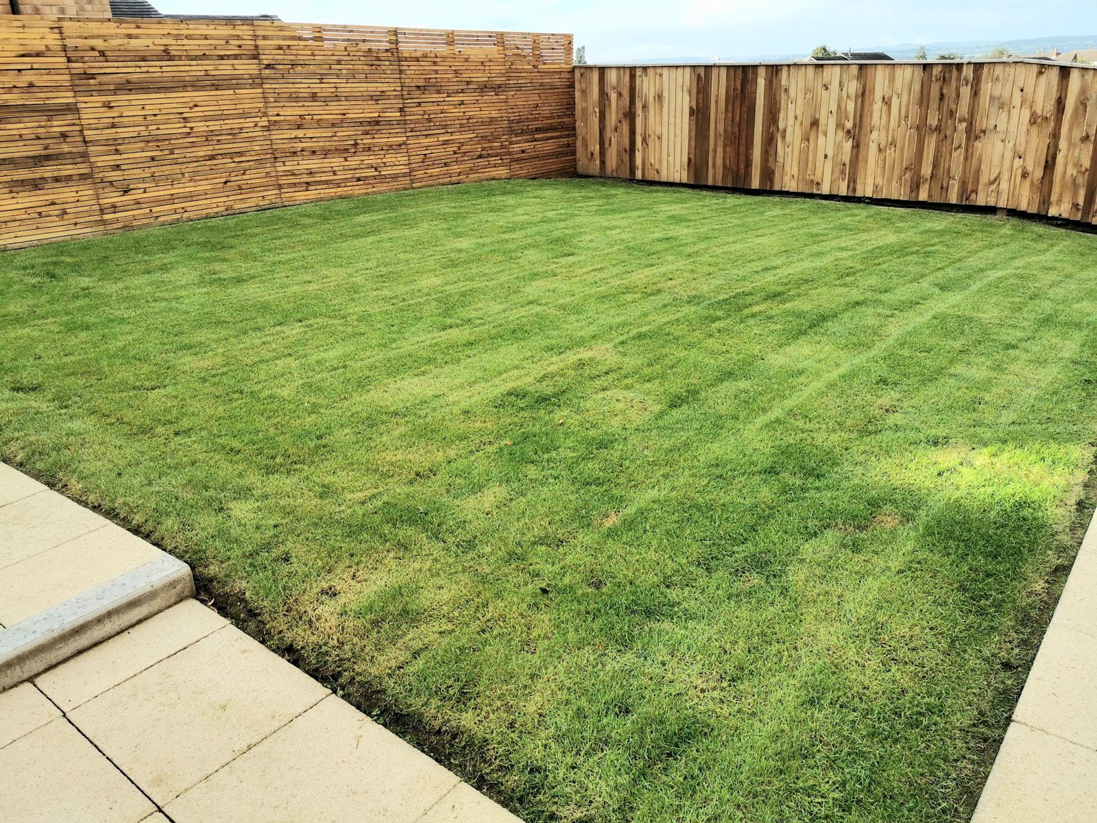 A striped lawn edged by new close-board timber fencing