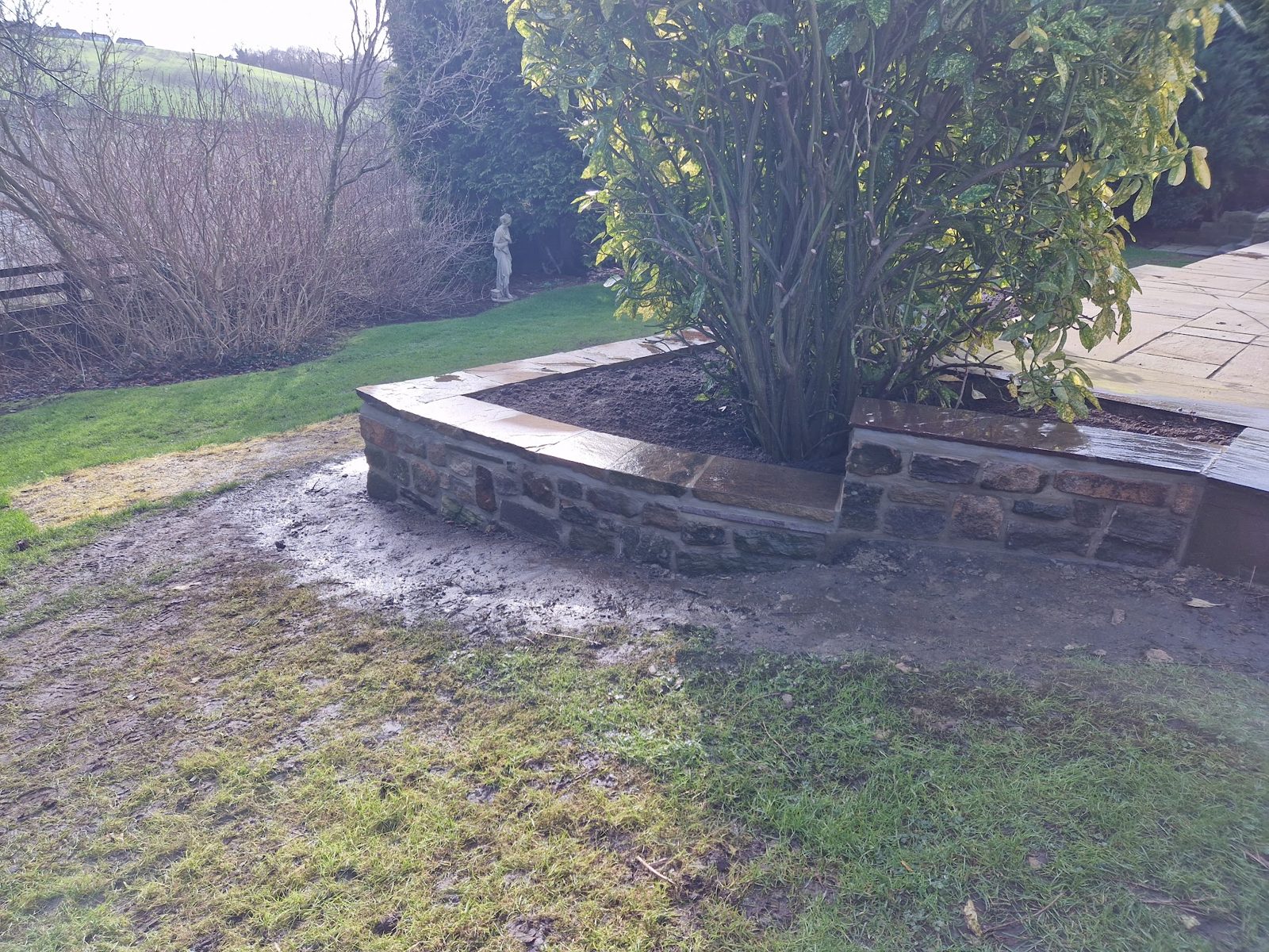 A curved stone wall built round a tree, forming a raised bed